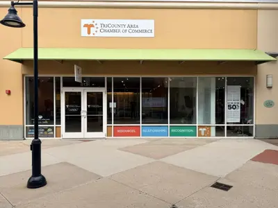 Window Graphics Photo